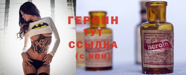 СК Сосновый Бор
