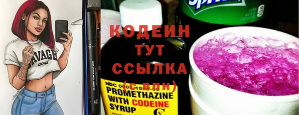 молекула духа Кулебаки