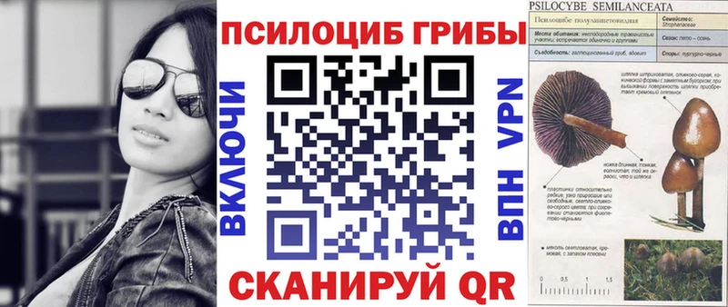 купить  цена  Шадринск  Галлюциногенные грибы Cubensis 
